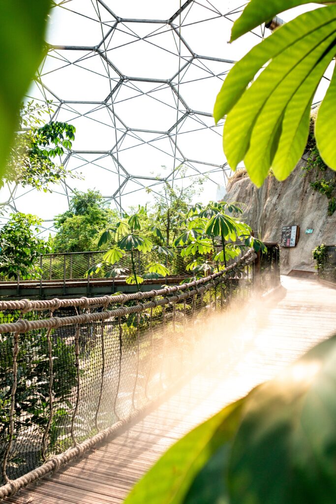 QUINGO ACCESSIBLE DAYS OUT: THE EDEN PROJECT 2