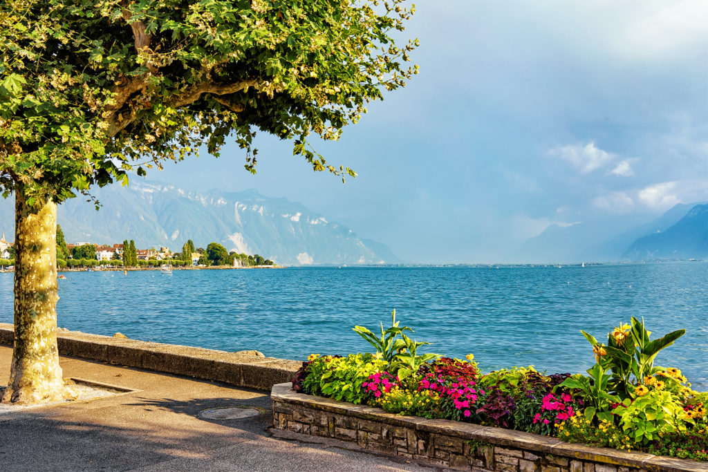 Promenade du Lac Léman - Accessible Geneva