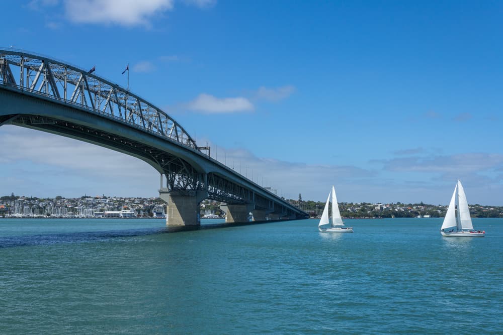 Quingo Scooters Accessible Auckland Sailing