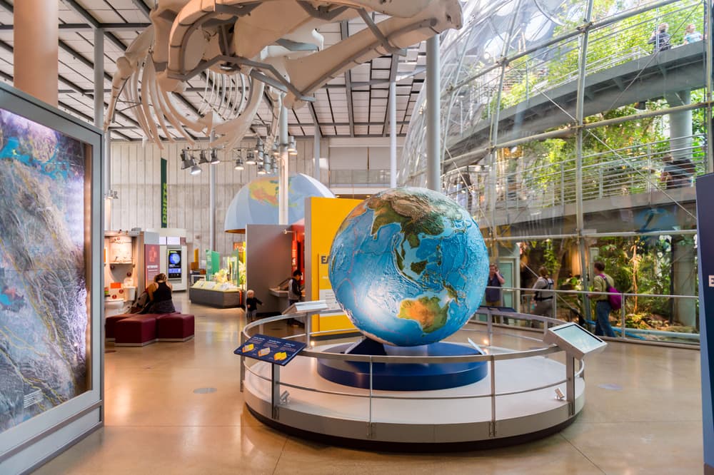 Quingo Scooters Accessible Holidays California Academy of Science Museum